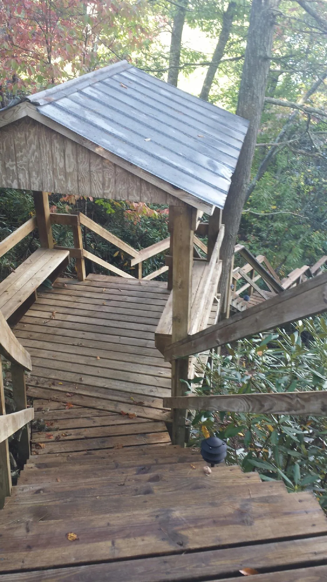 Metal roofed shelter over wooden steps on a wooded walkway — Skylight Repair & Installation work by our crew in Reynolds